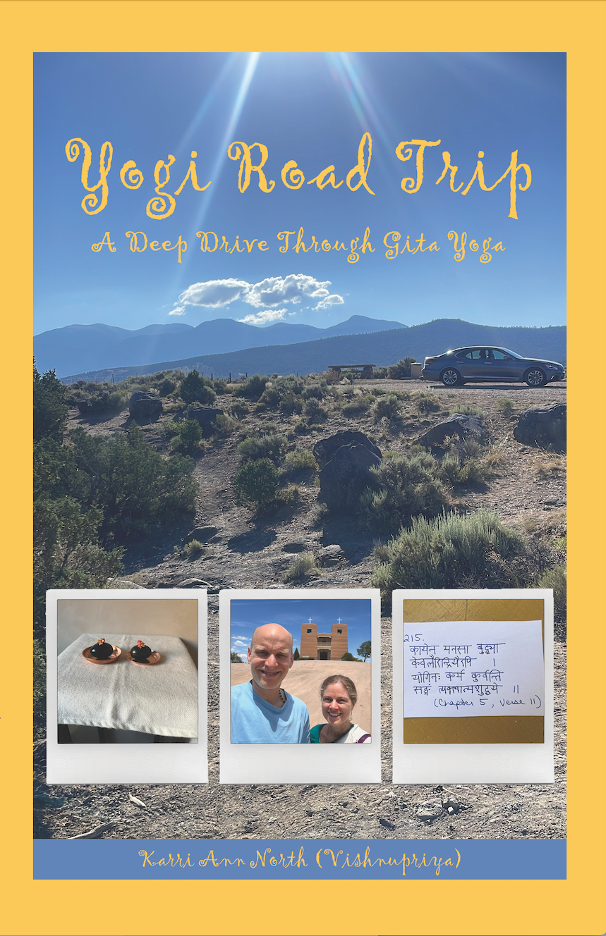 Yogi Road Trip book cover